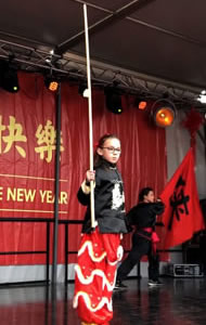 Kung Fu & Tai Chi voor Opening ceremony Chinees nieuwjaar Rotterdam 2018